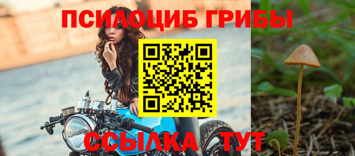 наркотики  Вход с VPN  Кубинка  Псилоцибиновые грибы прущие грибы 