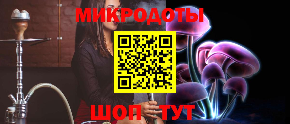 Галлюциногенные грибы Psilocybe Кубинка